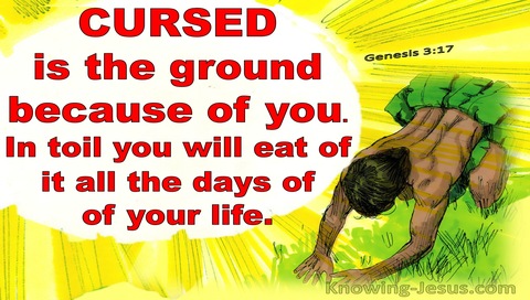Genesis 3:17 Because You Have Eaten Of The Tree (red) 